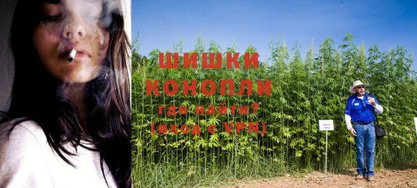 мяу мяу мука Вяземский