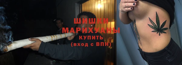 гашик Вязники