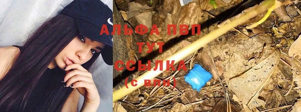 мяу мяу мука Вяземский