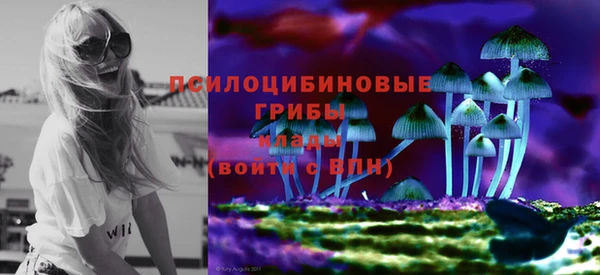 мяу мяу мука Вяземский