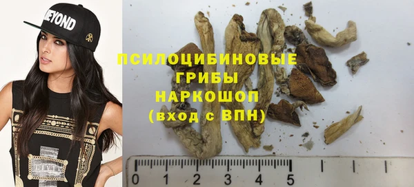 гашик Вязники