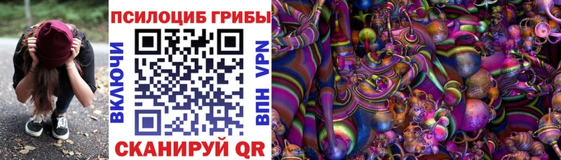 Псилоцибиновые грибы прущие грибы  купить закладку  Гагарин 