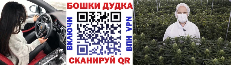 Бошки марихуана конопля закладки Гагарин